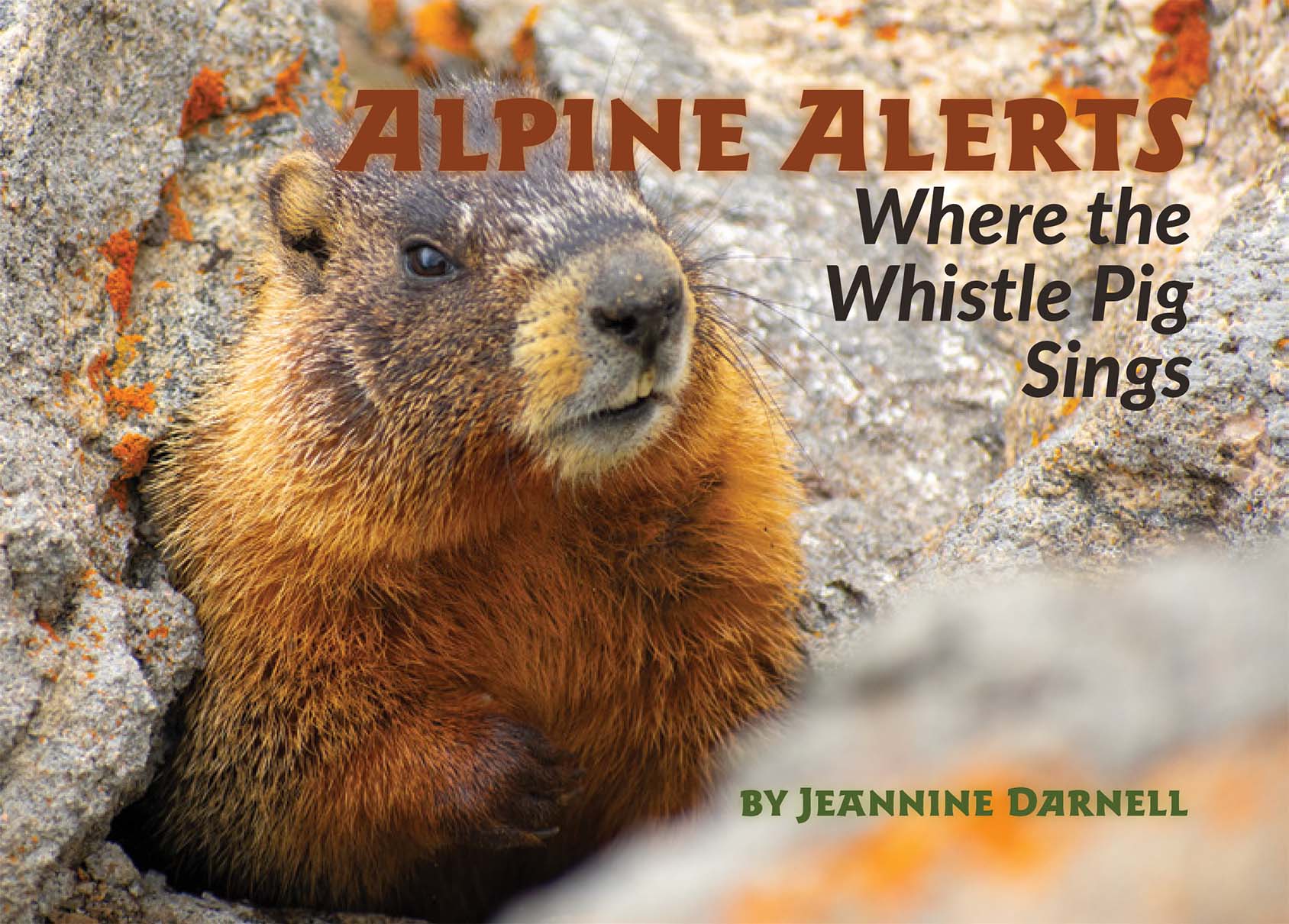 Coffee table book called Alpine Alerts