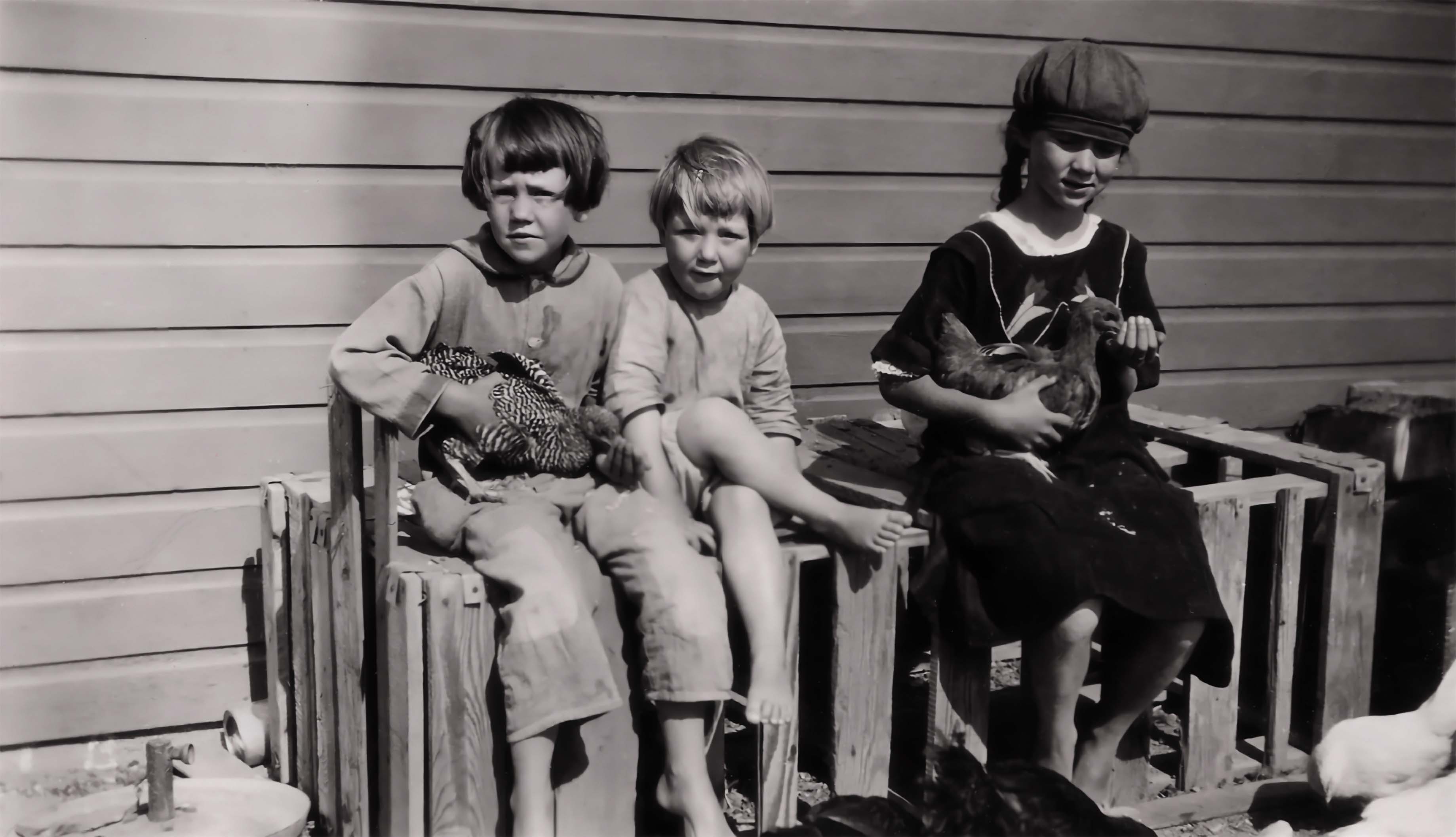 Photo restoration before/after layout