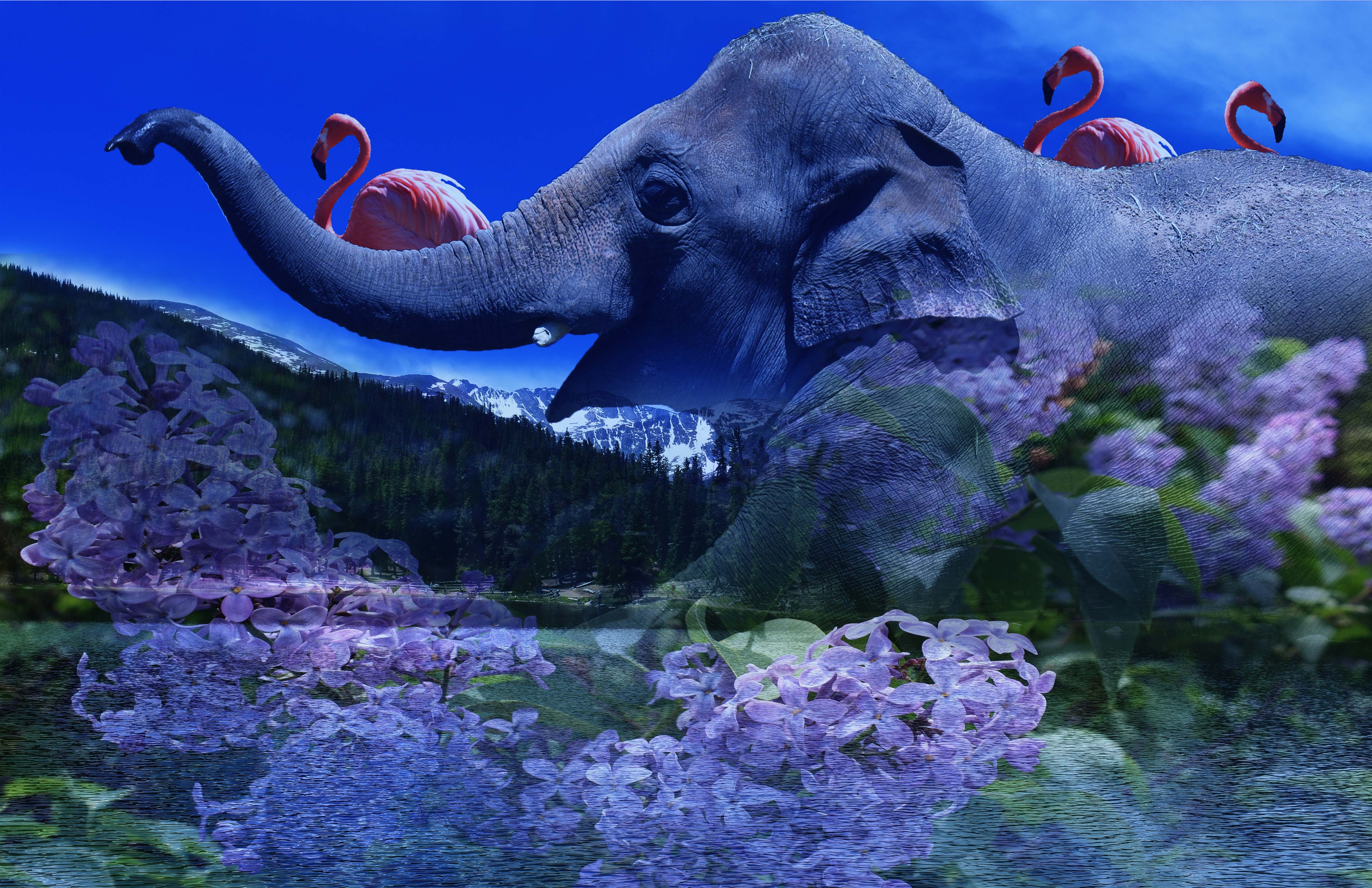 Rocky Mountain High composite